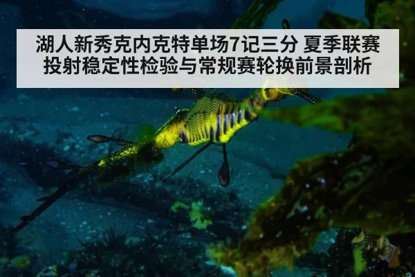 湖人新秀克内克特单场7记三分 夏季联赛投射稳定性检验与常规赛轮换前景剖析